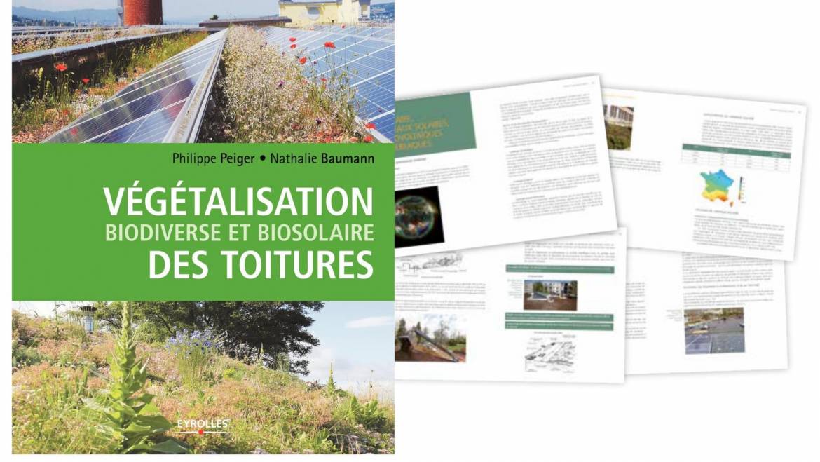 Publication : Un guide pour la végétalisation des toitures